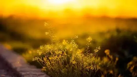 英雄联盟》热补丁更新：狂风之力削弱，装备调整重塑游戏平衡-必威电竞